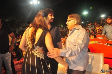 Sarrainodu Movie Blockbuster Function